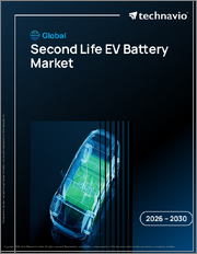 Global Second Life Ev Battery Market 2026-2030