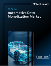 Global Automotive Data Monetization Market 2026-2030
