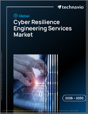 Global Cyber Resilience Engineering Services Market 2026-2030