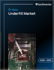 Global Underfill Market 2026-2030