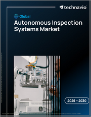 Global Autonomous Inspection Systems Market 2026-2030