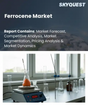 Ferrocene Market Size, Share, and Growth Analysis, By Product Grade Application, By End-Use Industry, By Distribution Channel, By Region - Industry Forecast 2026-2033