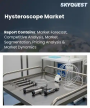 Hysteroscope Market Size, Share, and Growth Analysis, By Product Type, By Procedure Type, By Usability, By Application, By End User, By Region - Industry Forecast 2026-2033