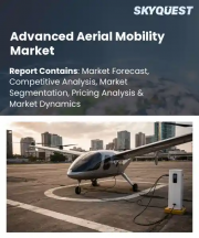 Advanced Aerial Mobility Market Size, Share, and Growth Analysis, By Aircraft Type, By Propulsion Technology, By Application Area, By Component Infrastructure, By Region - Industry Forecast 2026-2033