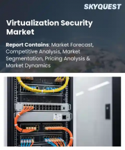 Virtualization Security Market Size, Share, and Growth Analysis, By Component (Software, Services), By Security Type, By Deployment Mode, By Enterprise Size, By End-Use Industry, By Sales Channel, By Region - Industry Forecast 2026-2033