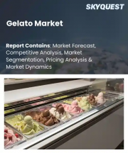 Gelato Market Size, Share, and Growth Analysis, By Flavor Type (Chocolate, Vanilla), By Product Type (Dairy Gelato, Plant-Based Gelato), By Distribution Channel, By Packaging Type, By End User, By Region - Industry Forecast 2026-2033