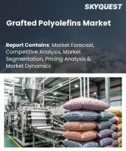 Grafted Polyolefins Market Size, Share, and Growth Analysis, By Product Type, By Base Polymer, By Application, By End User Industry, By Form, By Distribution Channel, By Region - Industry Forecast 2026-2033