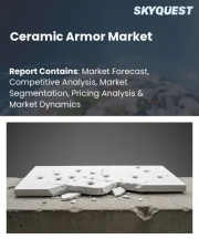 Ceramic Armor Market Size, Share, and Growth Analysis, By Material Type (Alumina, Boron Carbide), By Application (Body Armor, Aircraft Armor), By End-User, By Region - Industry Forecast 2026-2033