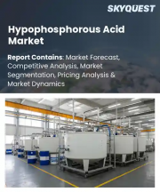 Hypophosphorous Acid Market Size, Share, and Growth Analysis, By Grade Classification, By Core Application Area, By End-User Target Industry, By Region - Industry Forecast 2026-2033