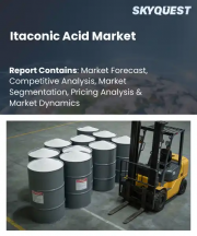 Itaconic Acid Market Size, Share, and Growth Analysis, By Application (Superabsorbent Polymers, Synthetic Fibers & Resins), By Production Method (Fermentation, Chemical Synthesis), By Grade, By End-Use, By Region - Industry Forecast 2026-2033