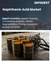 Naphthenic Acid Market Size, Share, and Growth Analysis, By Product Refining Grade (Refined Naphthenic Acid, High-Purity Naphthenic Acid), By Functional Chemical Application, By End-Use Industrial Destination, By Region - Industry Forecast 2026-2033