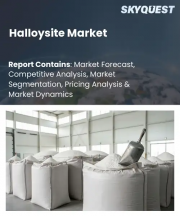 Halloysite Market Size, Share, and Growth Analysis, By Type (Natural Halloysite, Halloysite Nanotubes (HNTs)), By Grade (High-Grade Halloysite, Low-Grade Halloysite), By Application, By End-Use Industry, By Region - Industry Forecast 2026-2033