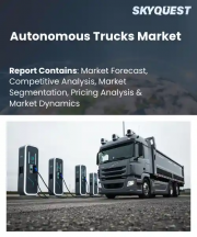 Autonomous Trucks Market Size, Share, and Growth Analysis, By Truck Type (Light-Duty Trucks, Medium-Duty Trucks), By Level of Autonomy, By ADAS Feature, By Component, By Drive Type, By Application, By Region - Industry Forecast 2026-2033