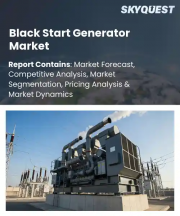 Black Start Generator Market Size, Share, and Growth Analysis, By Fuel Type (Diesel Generators, Gas Turbine Generators), By Power Rating (Below 1 MW, 1-10 MW), By Application, By End-User, By Region - Industry Forecast 2026-2033