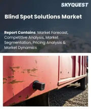 Blind Spot Solutions Market Size, Share, and Growth Analysis, By System Configuration (Radar-Based Systems, Camera-Based Systems), By Component Type, By Vehicle Class, By Sales Channel, By Region - Industry Forecast 2026-2033