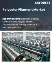 Polyester Filament Market Size, Share, and Growth Analysis, By Product Typology (Partially Oriented Yarn, Fully Drawn Yarn), By Dyeing and Coloration State, By Core Application Area, By Region - Industry Forecast 2026-2033