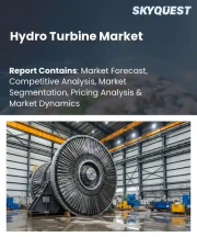 Hydro Turbine Market Size, Share, and Growth Analysis, By Type (Impulse Turbines, Reaction Turbines), By Capacity, By Head Type, By Installation Type, By Application, By End User, By Region - Industry Forecast 2026-2033