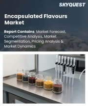 Encapsulated Flavours Market Size, Share, and Growth Analysis, By Encapsulation Technology (Spray Drying, Spray Chilling), By Product Flavor Profile, By Core Food Application, By Region - Industry Forecast 2026-2033