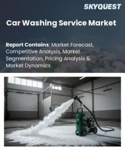 Car Washing Service Market Size, Share, and Growth Analysis, By Service Type (Basic, Deluxe), By Booking Channel (App-based, Phone or Walk-in), By Payment Mode, By Region - Industry Forecast 2026-2033