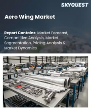 Aero Wing Market Size, Share, and Growth Analysis, By Wing Type (Fixed Wing, Folding Wing), By Material, By Aircraft Type, By Component, By End-User, By Region - Industry Forecast 2026-2033
