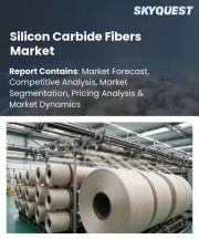 Silicon Carbide Fibers Market Size, Share, and Growth Analysis, By Product Type, By Fiber Generation, By Form, By Application, By End-Use Industry, By Region - Industry Forecast 2026-2033