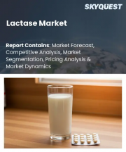 Lactase Market Size, Share, and Growth Analysis, By Source (Fungi, Yeast), By Form (Liquid, Powder), By Application, By Distribution Channel, By Region - Industry Forecast 2026-2033