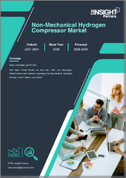 Non-Mechanical Hydrogen Compressor Market Size and Forecast 2021 - 2034, Global and Regional Share, Trend, and Growth Opportunity Analysis Report Coverage: By Type, End User, and Geography