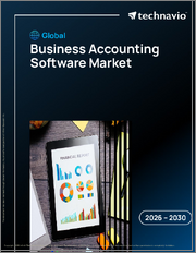Global Business Accounting Software Market 2026-2030