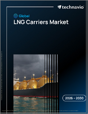 Global LNG Carriers Market 2026-2030