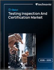 Global Testing Inspection And Certification Market 2026-2030