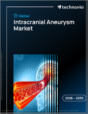 Global Intracranial Aneurysm Market 2026-2030