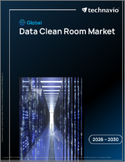 Global Data Clean Room Market 2026-2030