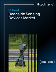 Global Roadside Sensing Devices Market 2026-2030