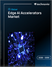 Global Edge AI Accelerators Market 2026-2030
