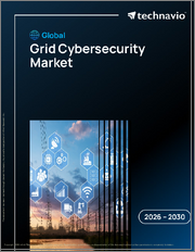 Global Grid Cybersecurity Market 2026-2030