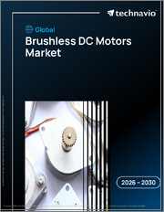 Global Brushless Dc Motors Market 2026-2030