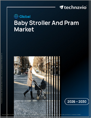 Global Baby Stroller And Pram Market 2026-2030