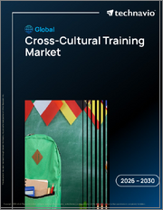 Global Cross-Cultural Training Market 2026-2030