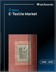 Global E-Textile Market 2026-2030