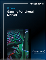 Global Gaming Peripheral Market 2026-2030