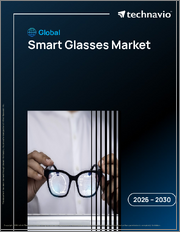 Global Smart Glasses Market 2026-2030