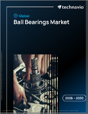 Global Ball Bearings Market 2026-2030