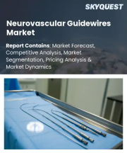 Neurovascular Guidewires Market Size, Share, and Growth Analysis, By Product Type (Standard Guidewires, Micro Guidewires), By Tip Configuration, By Coating Type, By Material, By Application, By End User, By Region - Industry Forecast 2026-2033