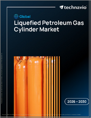 Global Liquefied Petroleum Gas Cylinder Market 2026-2030