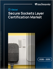 Global Secure Sockets Layer Certification Market 2026-2030