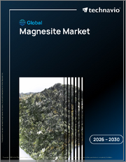 Global Magnesite Market 2026-2030