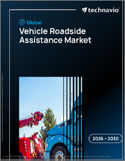 Global Vehicle Roadside Assistance Market 2026-2030