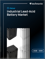 Global Industrial Lead-Acid Battery Market 2026-2030