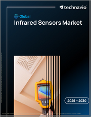 Global Infrared Sensors Market 2026-2030