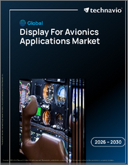 Global Display For Avionics Applications Market 2026-2030